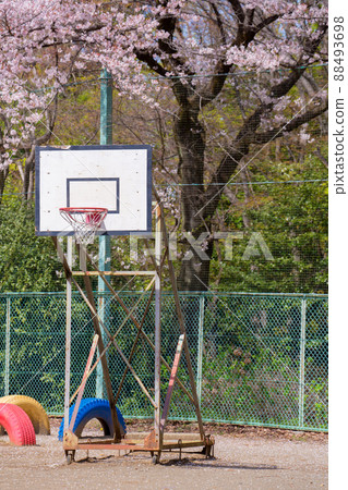 Basketball basket goal vertical position 88493698