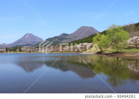 春天的志高湖(由布山/鶴見山) 春天的志高湖(由布山/鶴見山) 88494261