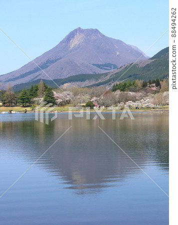 春天的志高湖(由布山、豐後富士) 春天的志高湖(由布山、豐後富士) 88494262
