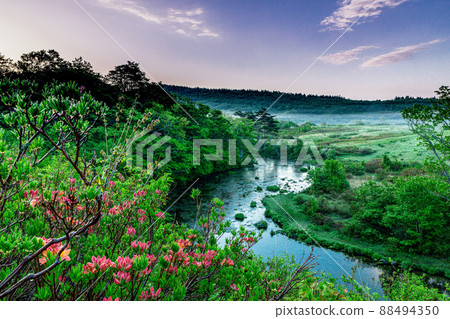 [青森縣、八甲田] 六月流淌著八甲田山脈地下水的古達里沼澤 88494350