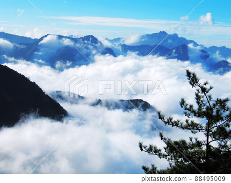 偉大的自然 88495009