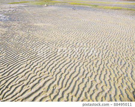 偉大的自然 88495011