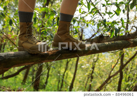 Hiker walking on a fallen tree trunk in forest 88496061