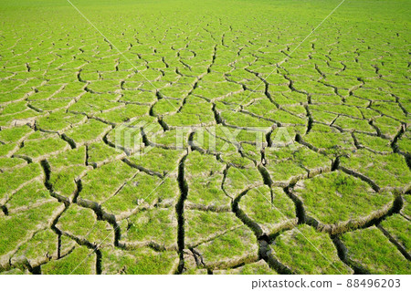 破碎的土地 破碎的土地 88496203