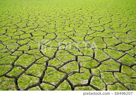 破碎的土地 破碎的土地 88496207