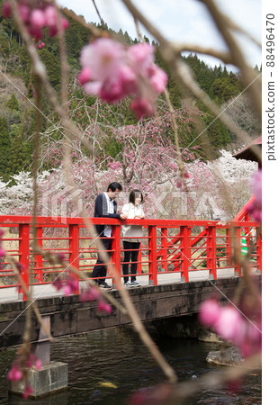 Men and women looking at the pond from the top of the cherry blossom bridge in the valley stone garden 88496470