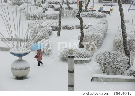 Winter scenery, white world Winter scenery, white world 88496713