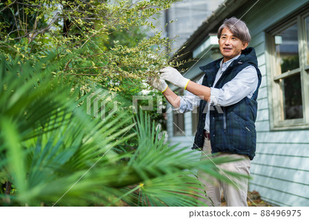 Gardening middle man 88496975