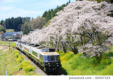 Spring scenery and limited express "Aso Boy!" (JR Kyushu) 88497383