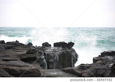 Travel, Beach, Spring, Jeju Travel 88497592