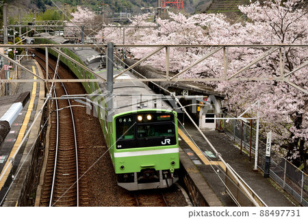 Spring on the Yamatoji line Spring on the Yamatoji line 88497731