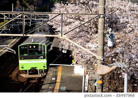 Spring on the Yamatoji line 88497966