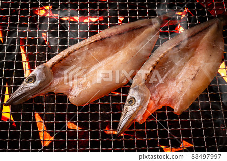 Bake the opening of the sphyraenidae 88497997