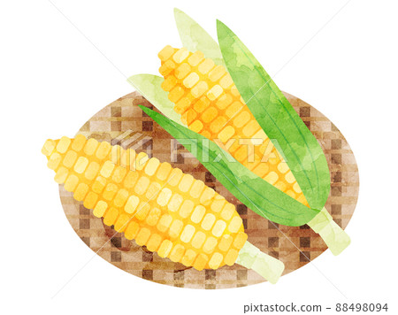Illustration of corn on a colander processed in watercolor style 88498094