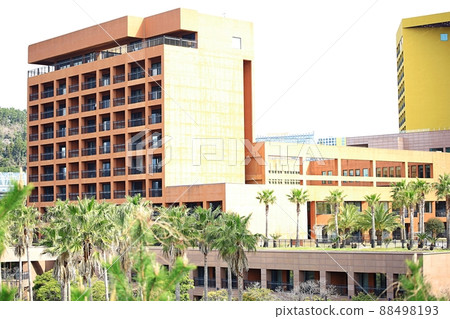 春天，濟州旅行，油菜花盛開的時候 88498193