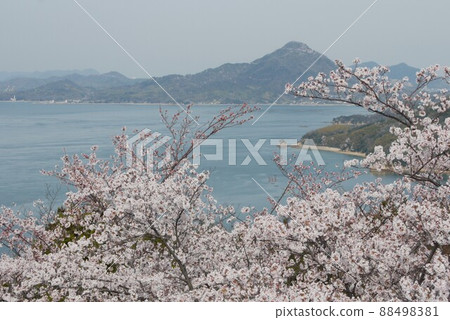 Spring Sekizenzan seen from the Hirakiyama Park summit observatory Spring Sekizenzan seen from the Hirakiyama Park summit observatory 88498381