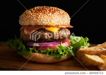 Hamburger  88498712