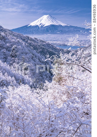 《山梨縣》富士山和樹上的霧rim ・日本的冬季風景 88498936