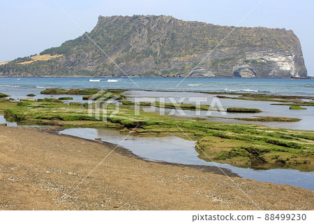 旅行, 春天的聲音, 濟州旅遊 旅行, 春天的聲音, 濟州旅遊 88499230
