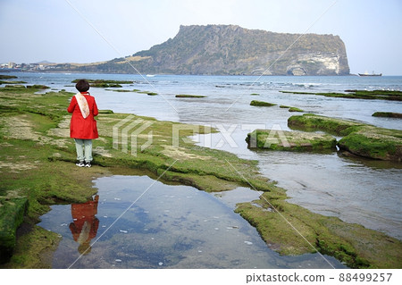 旅行, 春天的聲音, 濟州旅遊 88499257