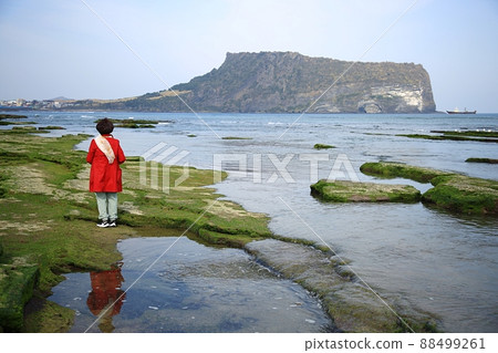 旅行, 春天的聲音, 濟州旅遊 旅行, 春天的聲音, 濟州旅遊 88499261