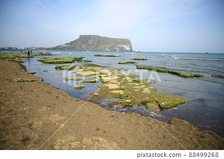 Travel, The Sound of Spring, Jeju Travel Travel, The Sound of Spring, Jeju Travel 88499268