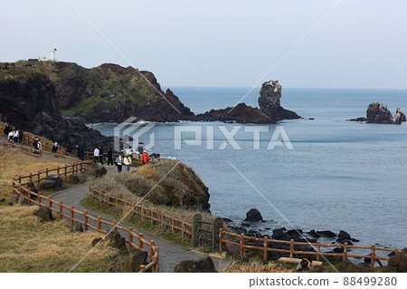 Travel, The Sound of Spring, Jeju Travel 88499280