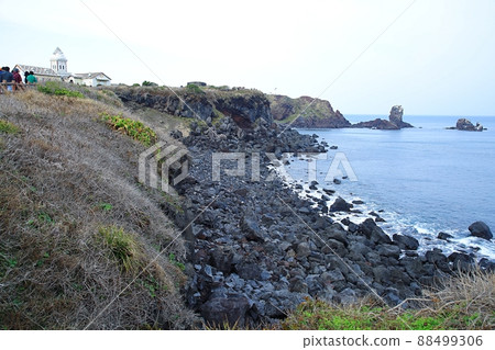 旅行, 春天的聲音, 濟州旅遊 旅行, 春天的聲音, 濟州旅遊 88499306