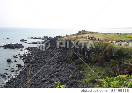 Travel, The Sound of Spring, Jeju Travel Travel, The Sound of Spring, Jeju Travel 88499318
