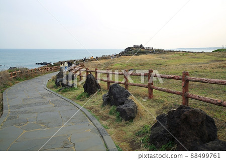 Spring, travel, rapeseed spring 88499761