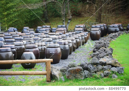 Spring, travel, rapeseed spring Spring, travel, rapeseed spring 88499770