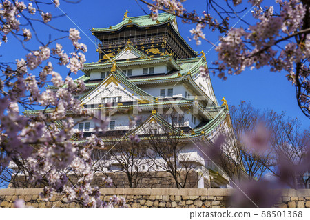 Osaka Castle / Osaka Castle Park Spring / Sakura in full bloom 88501368