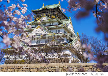 Osaka Castle / Osaka Castle Park Spring / Sakura in full bloom 88501369