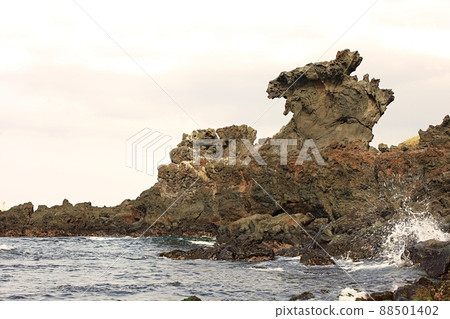 Nature's Island, Springtime Trip Nature's Island, Springtime Trip 88501402