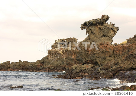 Nature's Island, Springtime Trip Nature's Island, Springtime Trip 88501410