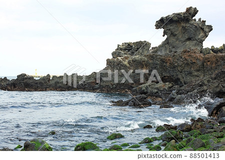 自然之島,春遊 自然之島,春遊 88501413