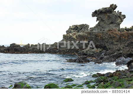 Nature's Island, Springtime Trip Nature's Island, Springtime Trip 88501414
