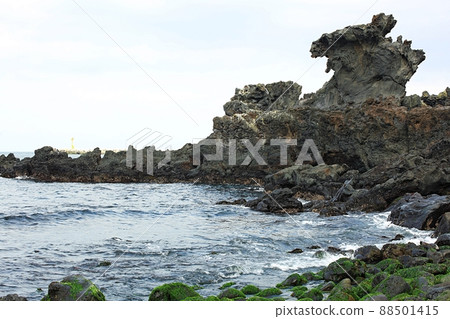 Nature's Island, Springtime Trip Nature's Island, Springtime Trip 88501415