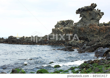 Nature's Island, Springtime Trip Nature's Island, Springtime Trip 88501417
