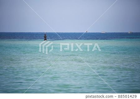 Nature's Island, Springtime Trip Nature's Island, Springtime Trip 88501429