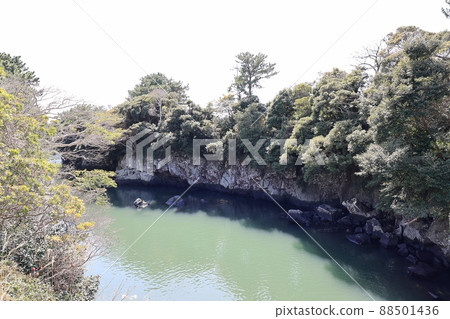 自然之島,春遊 自然之島,春遊 88501436