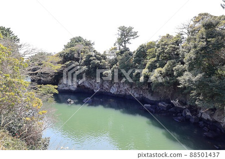 Nature's Island, Springtime Trip Nature's Island, Springtime Trip 88501437