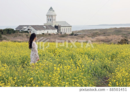 自然之島，春遊 88501451