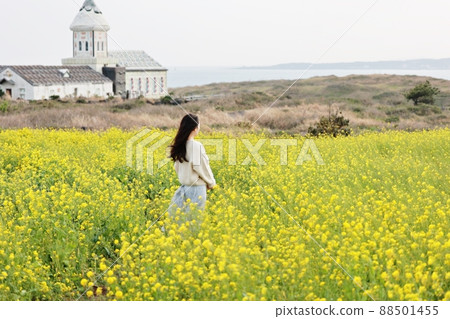Nature's Island, Springtime Trip Nature's Island, Springtime Trip 88501455