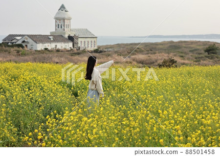 自然之島，春遊 88501458
