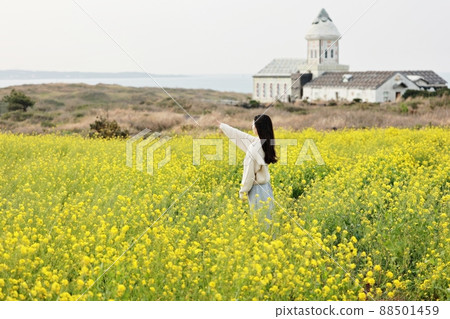 自然之島,春遊 自然之島,春遊 88501459