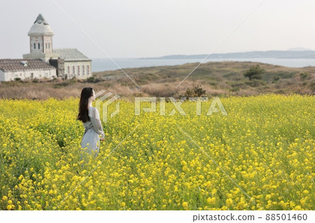 自然之島，春遊 88501460