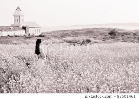自然之島,春遊 自然之島,春遊 88501461