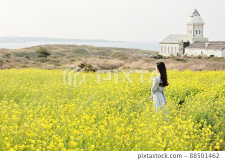 自然之島,春遊 自然之島,春遊 88501462