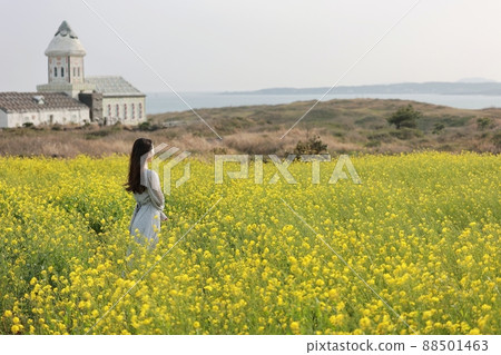 自然之島,春遊 自然之島,春遊 88501463